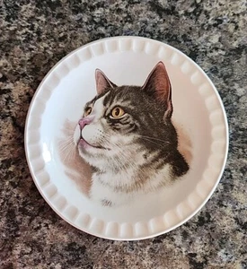 Hoffritz Porcelain Cat Plate 5" Made in England - Picture 1 of 8