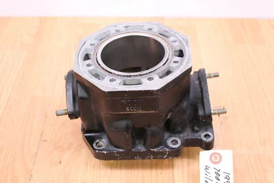 1994 ARCTIC CAT WILDCAT 700 EFI 圆筒式真空吸尘器 瓶  — 第 1/4 张图片