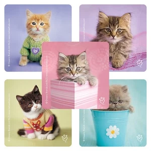 Pegatinas para gatito x 5 - Suministros para fiesta - Favores - Lindos pegatinas para gatos - Rachael Hale - Imagen 1 de 3