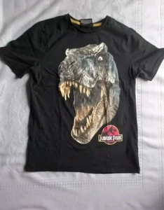 Boys Jurassic Park T-Shirt, Black, Age 11-12. - Picture 1 of 1
