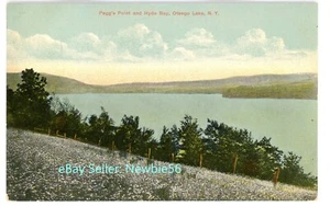 Cooperstown NY - PEGG'S POINT & HYDE BAY ON OTSEGO LAKE - Postcard - Picture 1 of 2