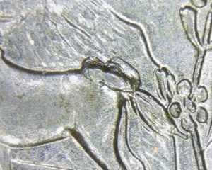 2006P Nevada State Quarter Pooping Horse Big Die Break Chip Mint Error Coin - Picture 1 of 3