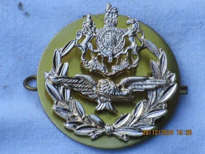Royal Air Force Regiment, Warrant Officer,Master Aircrew,RAF ,Luftwaffe,40x40mm# - Bild 1 von 2