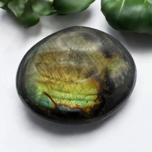 Labradorit Kristall Palmenstein (10) - Bild 1 von 13