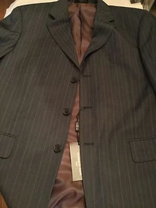 NEW Ermenegildo Zegna Gray Pinstripe 3-Button Jacket w/ Double Vent - 52/42 - Picture 1 of 4