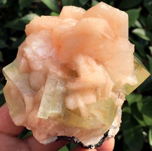 383g Natural Apophyllite intergrowth with Zeolite Crystal Specimens ic3700 - Picture 1 of 12