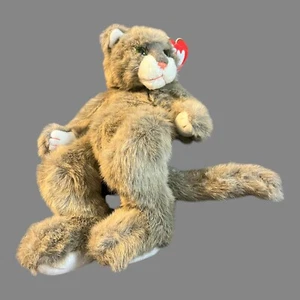 NWT Ty Sally Winey "Tumbles" the Cat With Hang Tag Hard To Find Rare Jointed - Picture 1 of 9