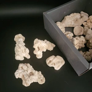 Natürliche Ozeankorallen Stücke - Maritim Strand Dekor - 2 Pfund 13 Unzen Posten - Bild 1 von 4