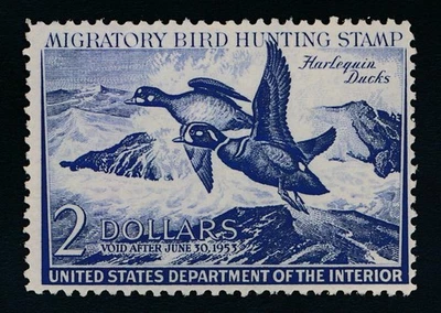 UNITED STATES (US) RW19 MINT F-VF LH $2 - Image 1 of 2