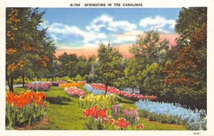 Postal NC: Primavera en las Carolinas, flores, lino vintage, sin publicar - Imagen 1 de 2