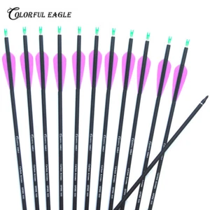 Archery Carbon Arrows Spine 500 28" 30" 31" Shaft Compound Recurve Bow Hunting - Picture 1 of 9