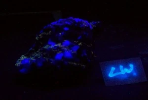 UV Specimen of Fluorescent Fluorite with Aragonite for Collection - Picture 1 of 9