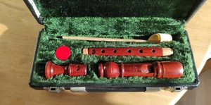 Dolmetsch soprano /descant recorder in rosewood with luxury case and accessories - Picture 1 of 4