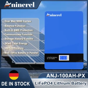 Batería de almacenamiento 5kWh 48V LiFePO4 Powerwall 100Ah 51.2V BMS sistema de almacenamiento solar - Imagen 1 de 6