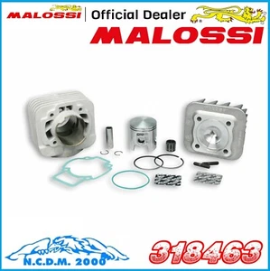 GRUPPO TERMICO MHR MALOSSI Ø 47 ALLUMINIO SP12 PIAGGIO ZIP Fast Rider 50 2T - Picture 1 of 12