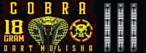 Cobra Soft Tip Sets - Bild 1 von 5
