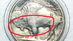 1937 Wounded Buffalo Nickel Coin Speared Buffalo Error Multi Spears, Double Die - Picture 1 of 19