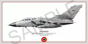 Panavia Tornado Squadron Print - Poster 50x100-Aeronautica Militare - 154 Gruppo - Foto 1 di 2