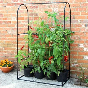 Haxnicks Tomaten Ernte-Booster Rahmen B1m H1,6m T50cm - Bild 1 von 3
