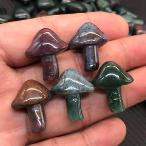 5pcs Natural Ocean Jasper mushroom skull Quartz Crystal Healing Crystal Gift  - Picture 1 of 11