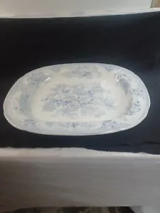 Antique T. Hughes Meat Platter Asiatic Pheasants - Picture 1 of 19