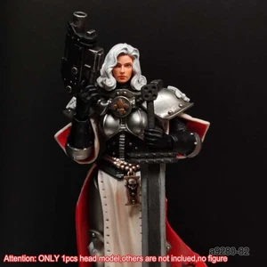 Zart bemalte 1/18 weibliche Soldaten Kopf Skulptur für 3,75" Joytoy Battle Sister - Bild 1 von 1