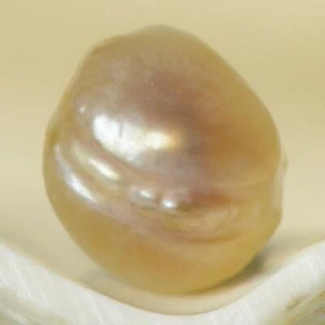 1.80 ct Natural Wild Pteria Penguin Winged Oyster Pearl 7.39 mm - Extremely Rare - Picture 1 of 7