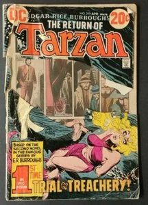 Tarzan #219 (DC Comics, 1973) - Picture 1 of 4