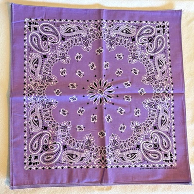 ¡NUEVO! Lote de 10 pañuelos morados Hav-A-Hank 100 % algodón cachemira 21"X21" hechos en EE. UU. Foto 1 de 3