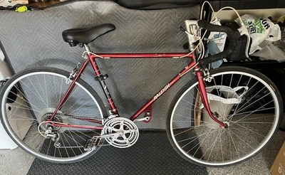 Raleigh Record Ace 80’s 10 velocidades 25” bom estado Chicagoland Pickup. Sem envio - Imagem 1 de 4