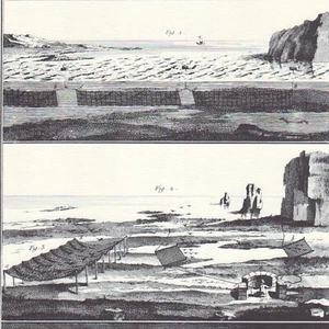 Pêche - Pesches de mer- Gravure ancienne - Réédition 1964 - Picture 1 of 2
