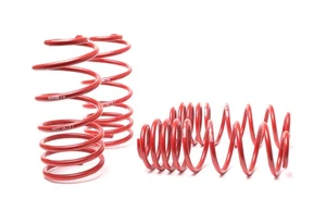 H&R Race Lowering Springs For 1998-2004 VW Golf Jetta MK4  - Picture 1 of 5