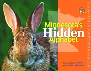 Minnesota's Hidden Alphabet - Picture 1 of 1