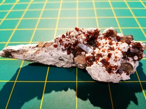 Terminated Smoky Quartz w/Spessartine Garnets on Microcline Matrix. - China - Picture 1 of 12