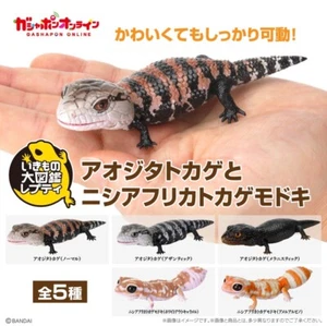 New Blue-tongue Skink & African fat-tailed Gecko Action Figure Complete Set - Picture 1 of 6