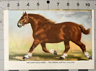 WESLEY DENNIS VINTAGE 1954 GENUINE BOOK PAGE DRAFT HORSE PRINT 8 1/4”Wx5 2/16”T
