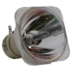 AL™ Series Lamp (Bulb Only) for the Acer X1230 Projector - 90 Day Warranty - Picture 1 of 4