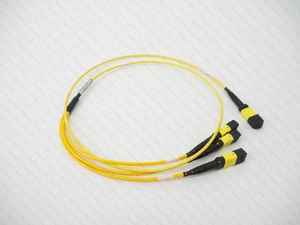 R1N87ANL HPE 24 Fiber MPO/3x12 Fiber MPO 1mD.P16155-002 | REF - Afbeelding 1 van 1