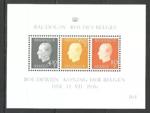 Belgium 1976 mint block MNH(**) - Picture 1 of 1