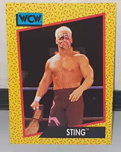 1991 Impel WCW STING - The Stinger - #2 - World Championship Wrestling - Foto 1 di 1