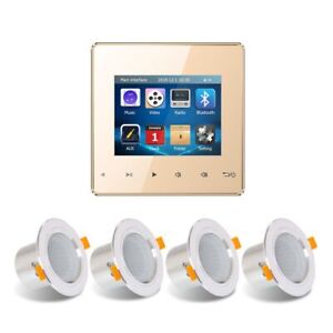 Mini Wall Amplifier Bluetooth Smart Sound System Theater Stereo Ceiling Speaker