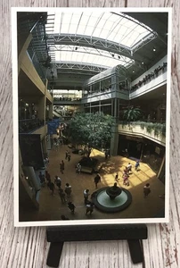 Mall of America Bloomington MN Minnesota Postcard - Picture 1 of 4