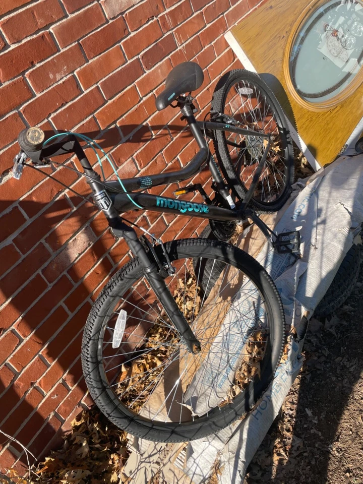 excursión mangosta negra y azul Foto 1 de 1