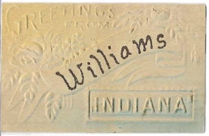 Postal de Williams, Indiana 1909, saludos desde el tipo - Imagen 1 de 2