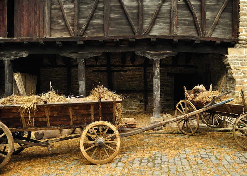 Decoração rústica de madeira para armazém decoração chá de bebê cabine de fotos pano de fundo 7x5 pés - Imagem 1 de 4