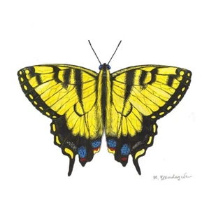 10x10 PRINT OF PAINTING RYTA BUTTERFLY TIGER SWALLOWTAIL SPRING Folk Art Decor - Picture 1 of 1