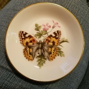 "Baratija de plato redondo de 4" Royal Worcester England 1982 de colección ~ RARA☆ - Imagen 1 de 4