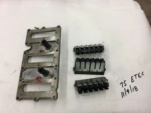 Evinrude Outboard 75hp 90hp ETEC Reeds and intake 397336   FRESHWATER! - Picture 1 of 1