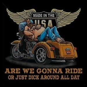 ARE WE GONNA RIDE OR JUST DICK AROUND? TRIKE MOTORCYCLE T SHIRT - M to 6XL - Picture 1 of 1