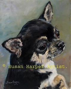 Chihuahua Signed Dog Print by Susan Harper Unmounted - Picture 1 of 2